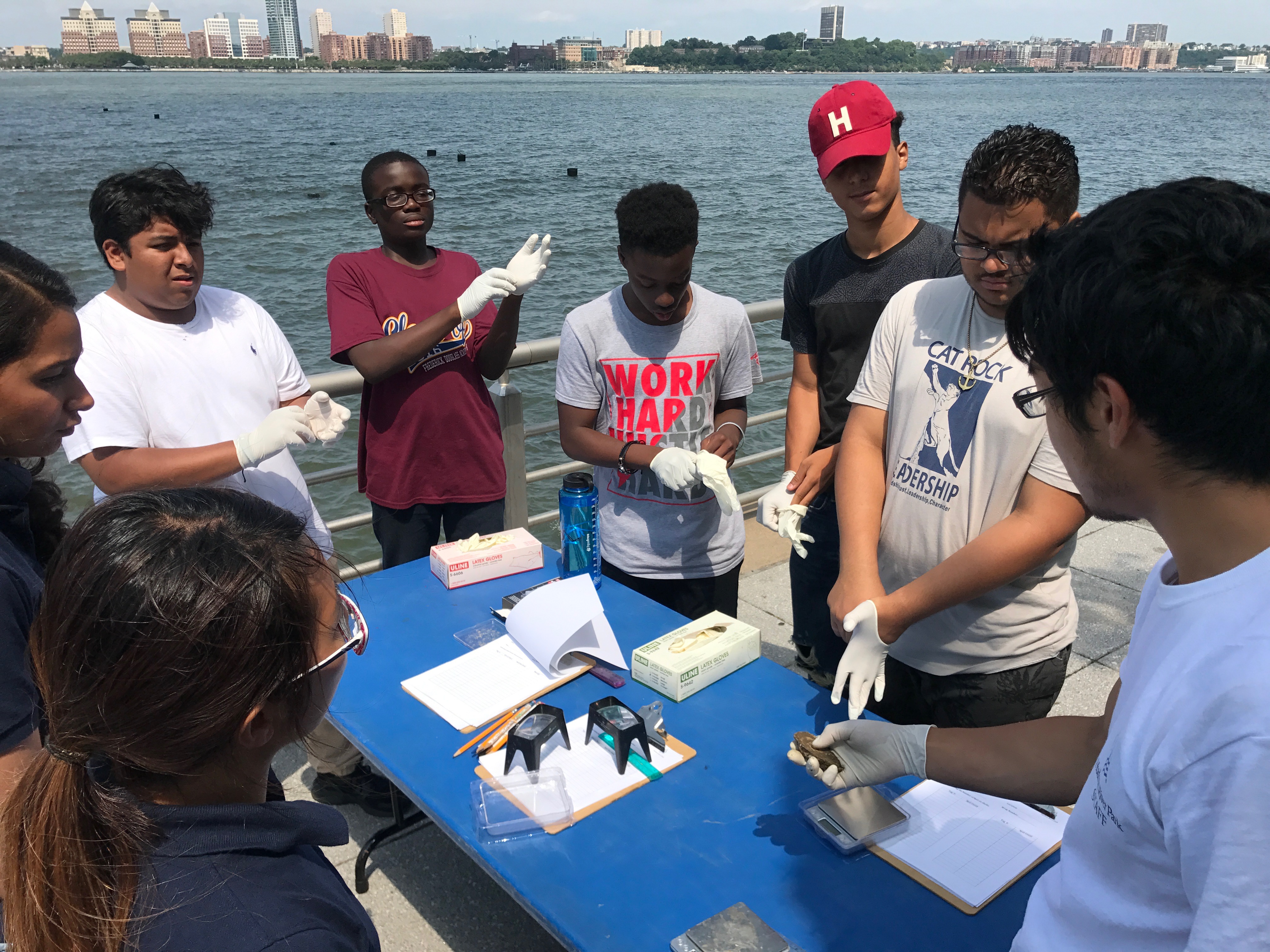 NYC ICO participants join an oyster conservation project along the Hudson.