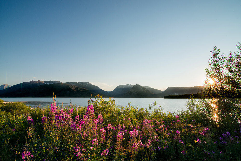 Photo by Sarah Chillson www.sarahchillson.com