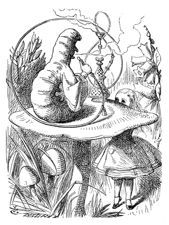 Alice and the caterpillar