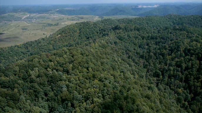 Blair Mountain