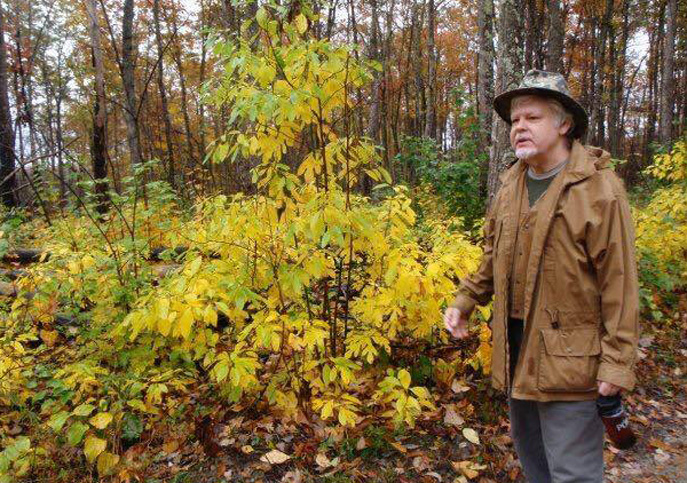 Don Richardson in Overton Park, Memphis (photo courtesy of Friends for Our Riverfront)