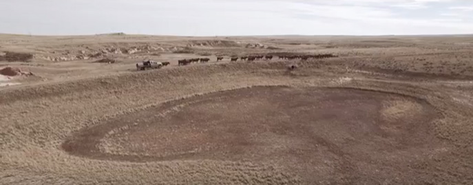 Dried-up watering hole on Turner ranch near Gillette, WY