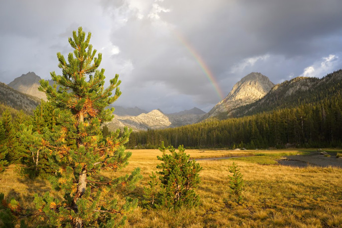 Evolution Valley rainbow (Photo by Donn Furmann)