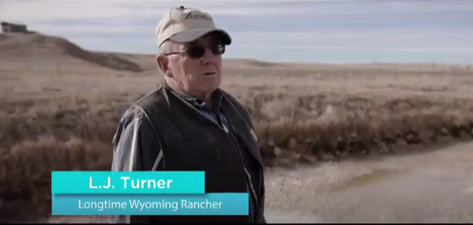 L.J. Turner