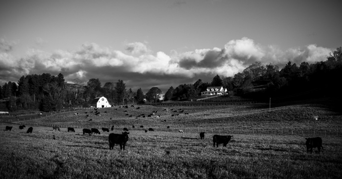 River Ridge Ranch - Grayson County, VA