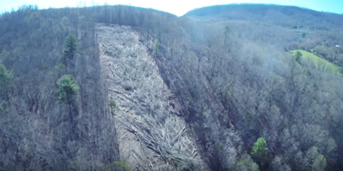 Forest clearing for Mountain Valley Pipeline in Newport, VA