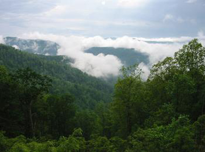 Mountains in the Royal Blue Wildlife Management Area
