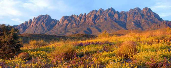 Organ Mountains-Desert Peaks National Monument