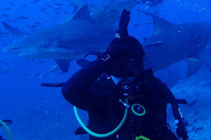 Maya diving with sharks in Fiji