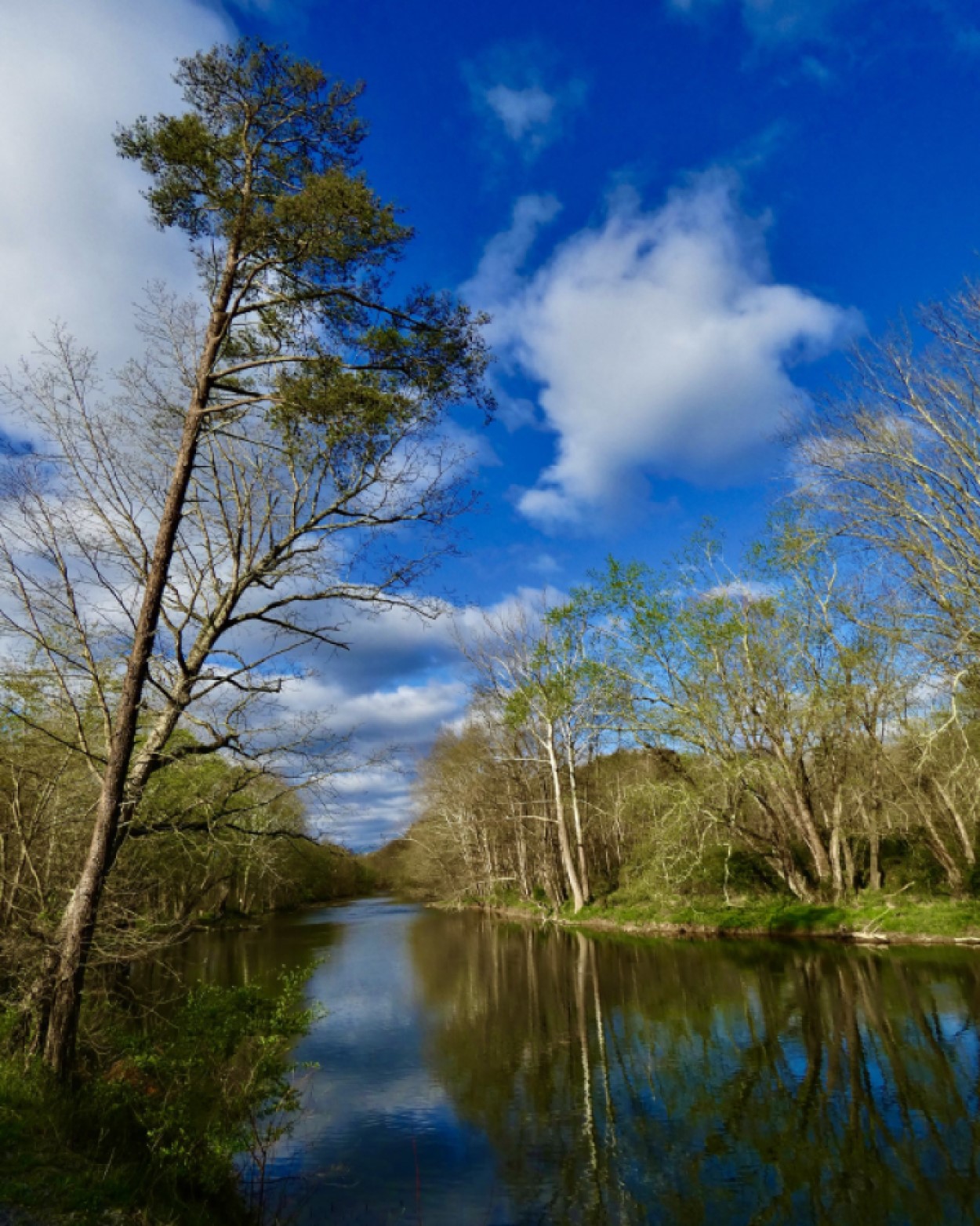 Tuscarora Creek, Port Royal, Pennsylvania Sierra Club