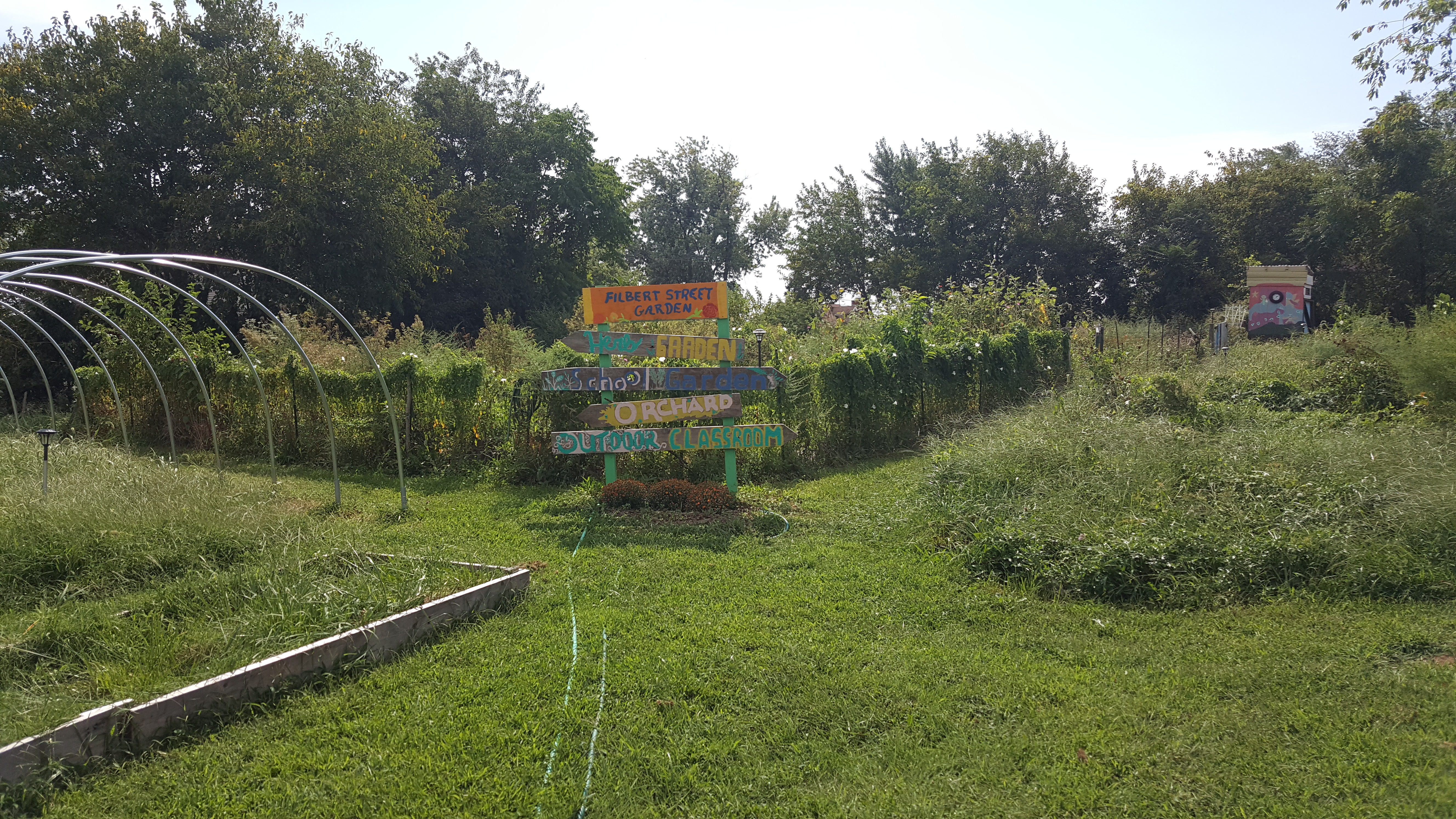 Filbert Street garden