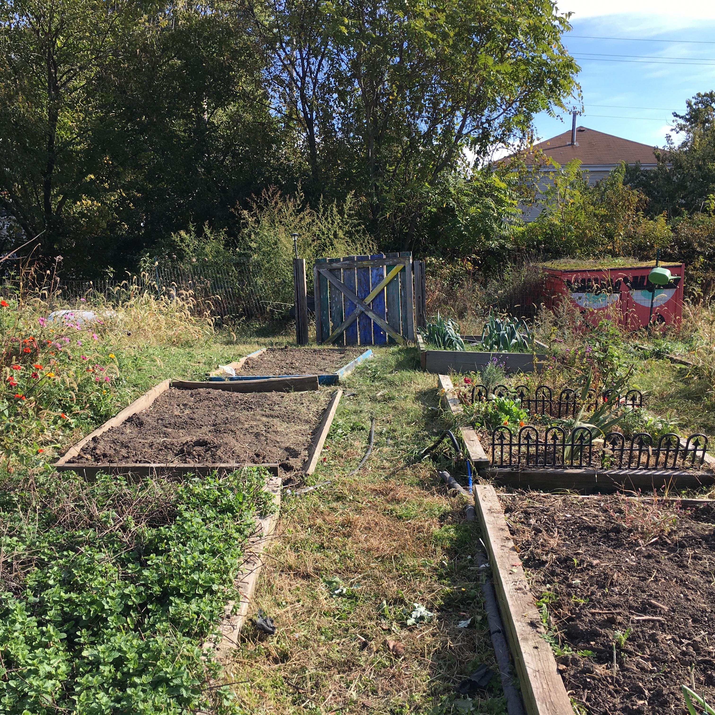 Filbert Street garden