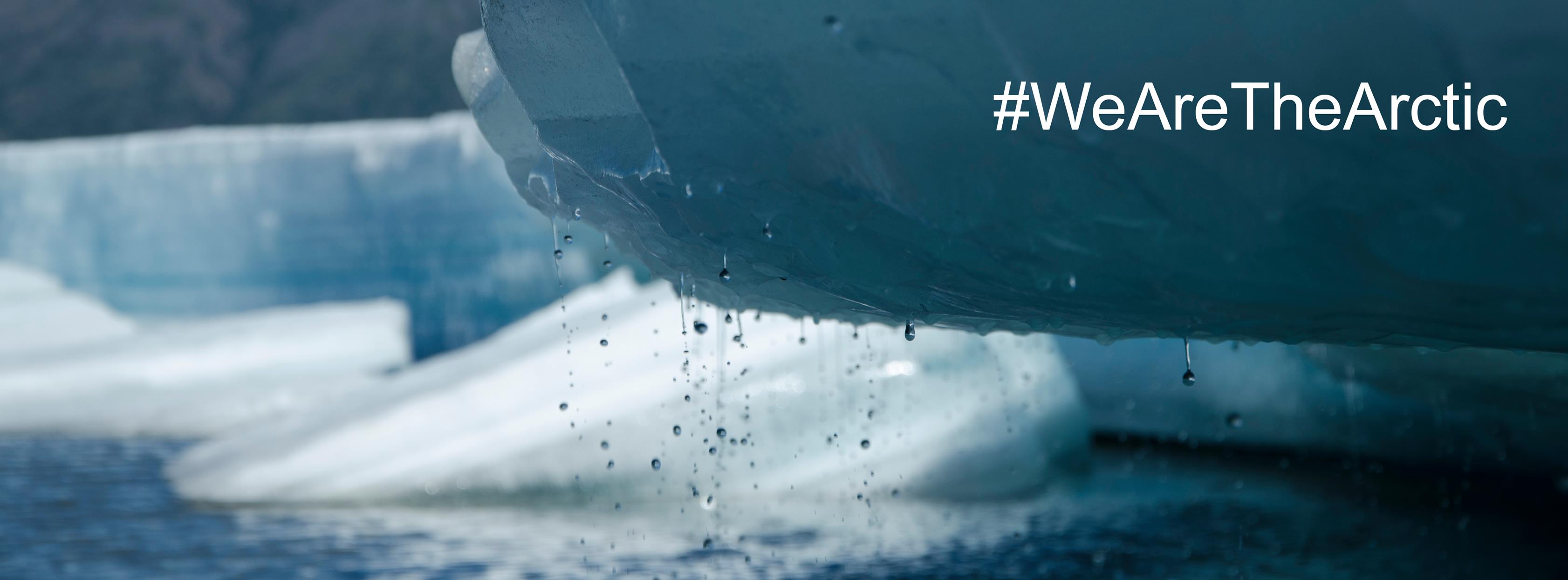 Photo: Julia Marshall 