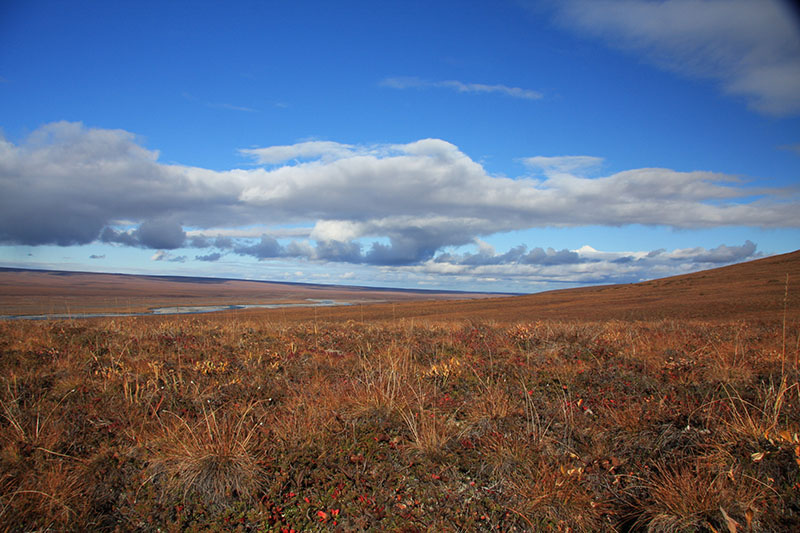 Protecting the Arctic Refuge