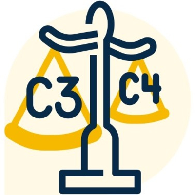 An illustration show scales with one side reading C3 and the other C4.