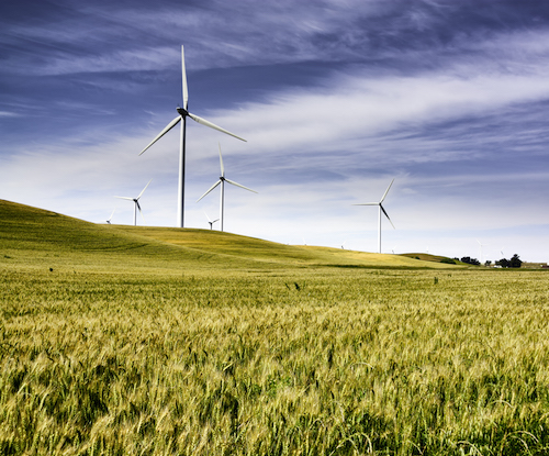 A portion of the electricity for San Francisco's clean-energy program, CleanPowerSF, comes from the Montezuma Hills Wind Resource Area, pictured on the cover. Read about CleanPowerSF's rollout on page 12. Photo by Bay Chapter member and hike leader Ron Rothbart, www.flickr.com/frame_maker.