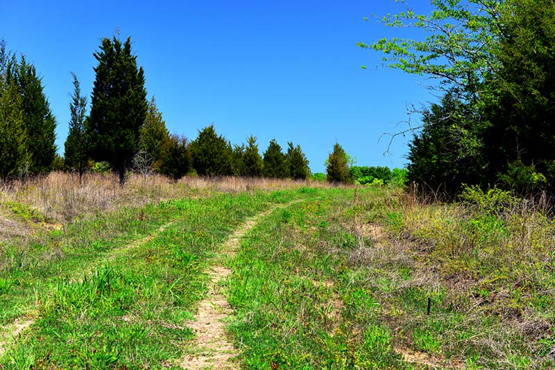 Old Cahawba Prairie