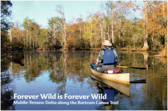 Bob canoeing for Forever Wild.