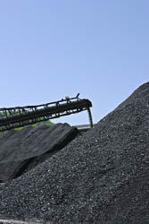 Coal