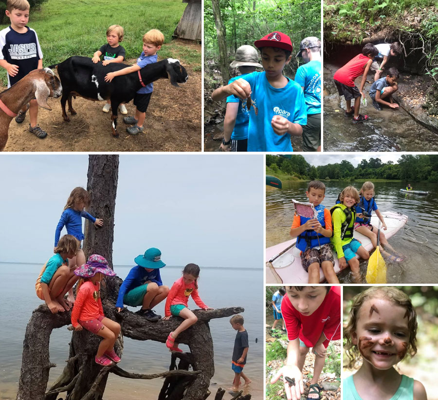 Children in nature