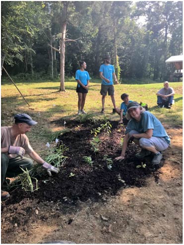 Planting