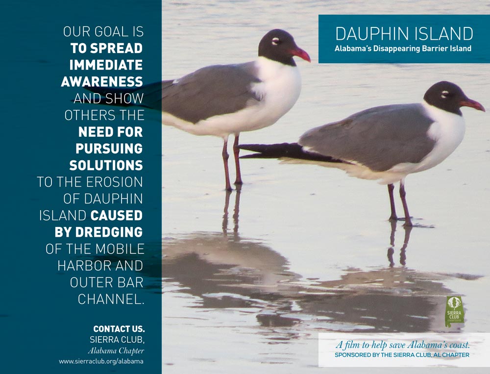 Dauphin Island Project