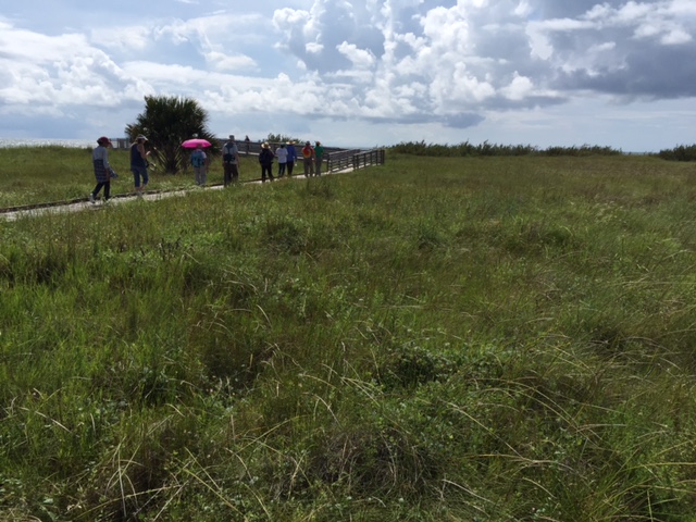 Follets-Island-Scenery