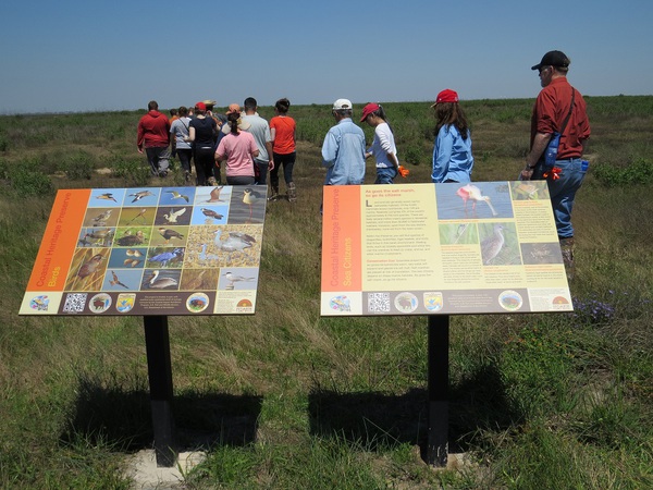 Learning about wetlands.