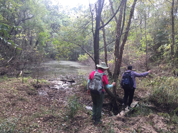 Balancing at Little Lake Creek Wilderness by Lida