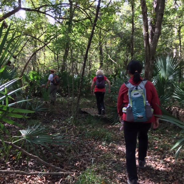 Strolling at Little Lake Creek Wilderness by Lida