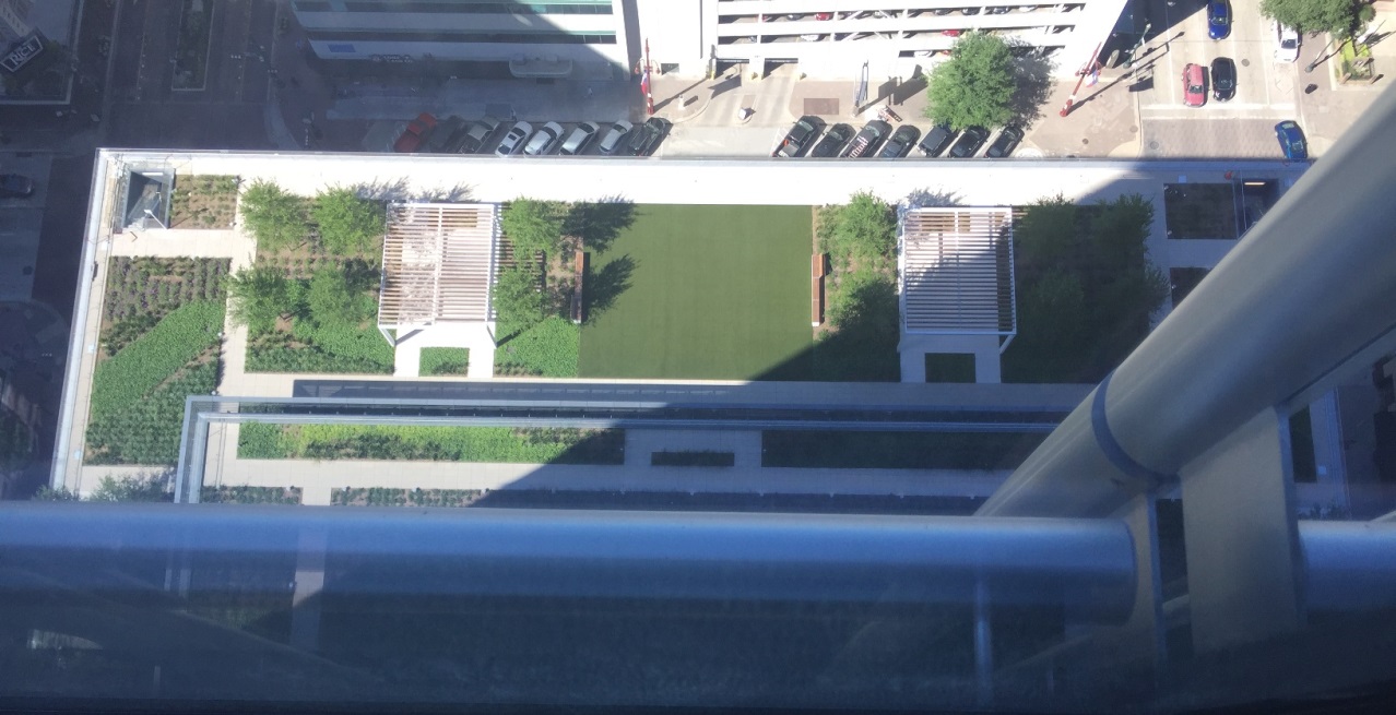 greenscaped parking roof
