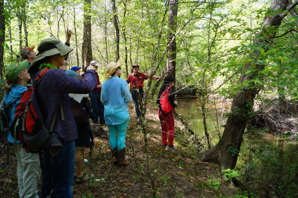 Peach Creek Woods Explorers