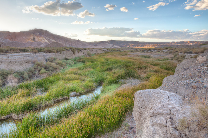 Amargosa River