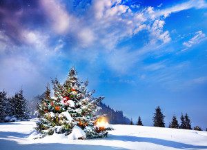 Christmas tree_123rf-byheaven