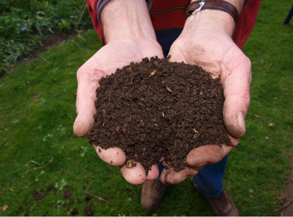 Hands with compost mulch