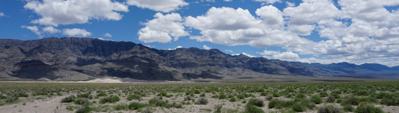 Sheep Range in the Desert Refuge. Credit Brian Beffort