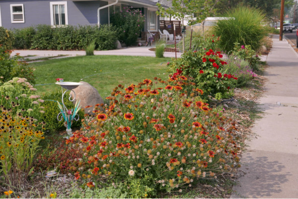 Flowers by sidewalk