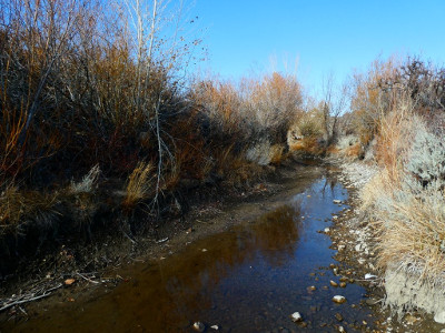 Steamboat ditch