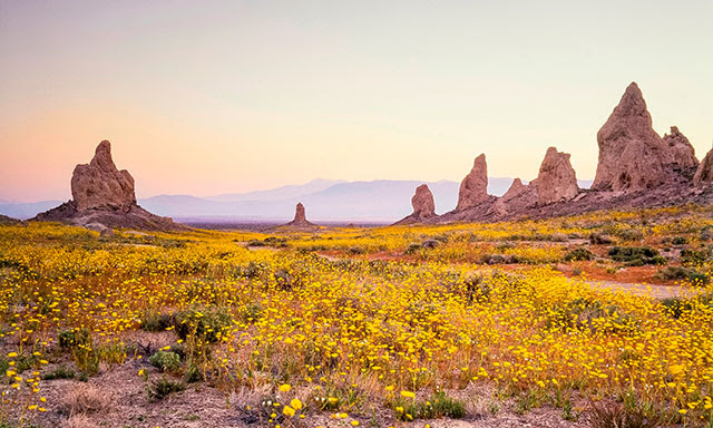 Trona Pinnacles. Credit John Dittli