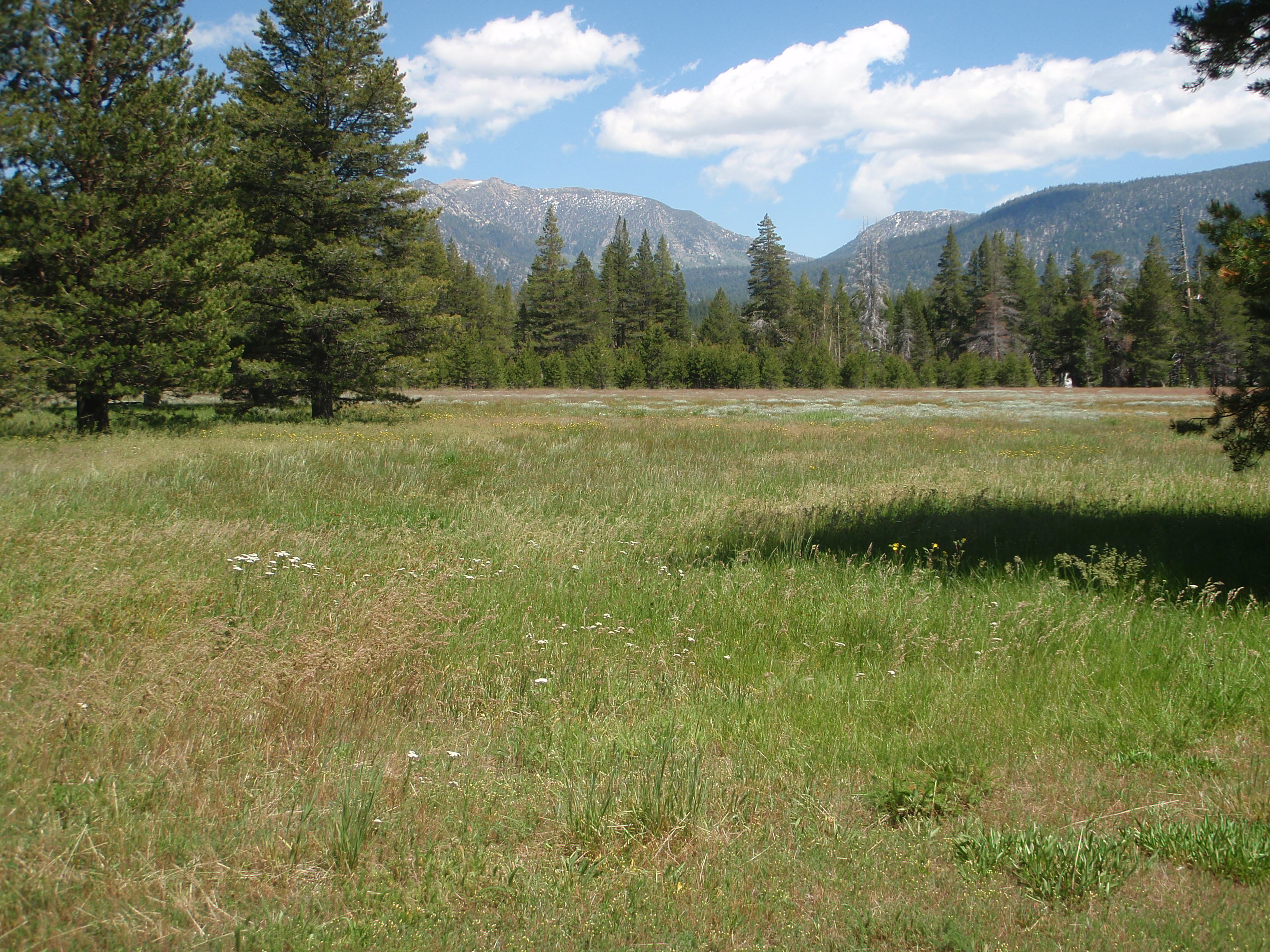 Too beautiful and wild to be a golf course!