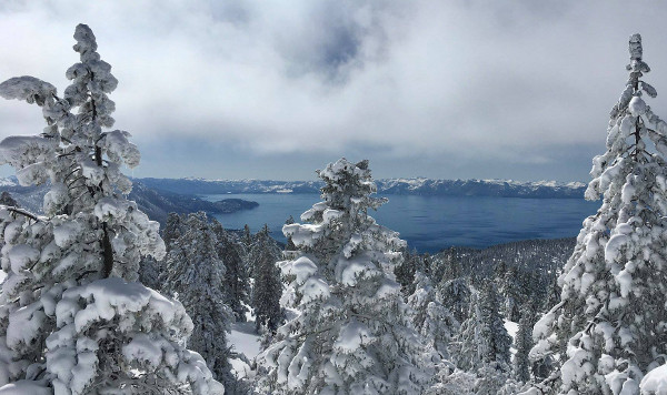 Snowy Chickadee Ridge