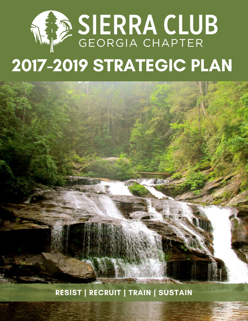 Georgia Chapter Strategic Plan 2017-2019