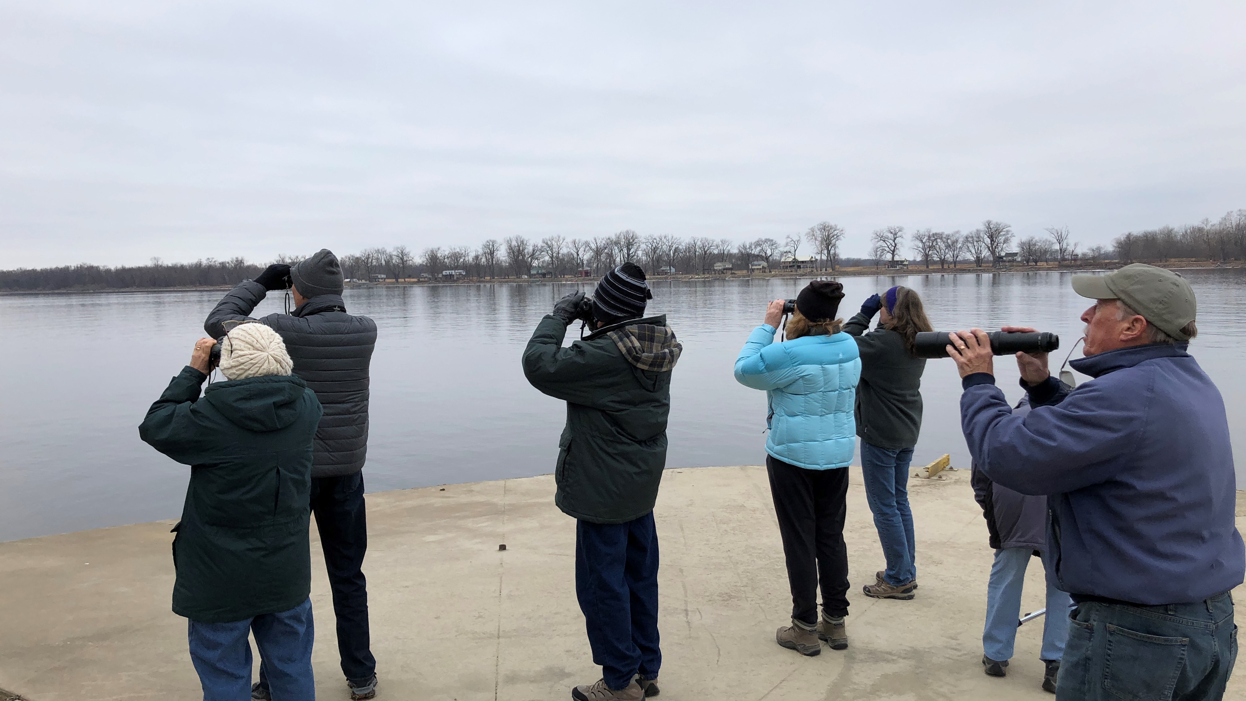 Audubon Eagle Count