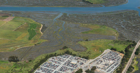 Elkhorn Slough from above