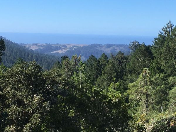 Butano airstrip view
