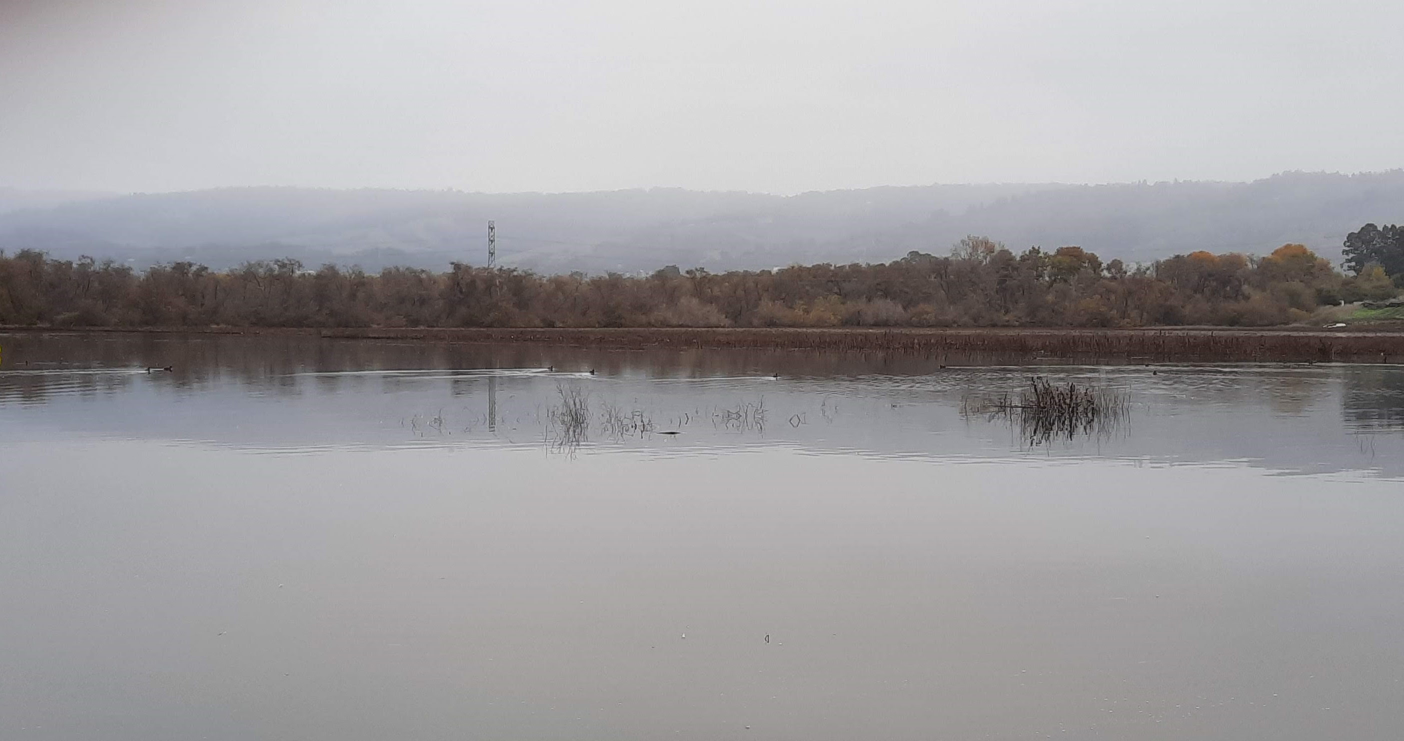 Photo of College Lake