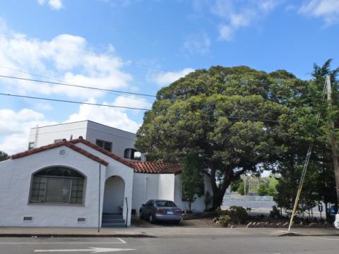 Conferruminata Before