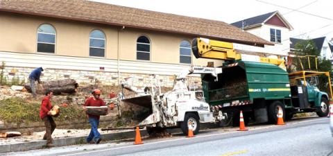 No Horse Chestnut on Broadway