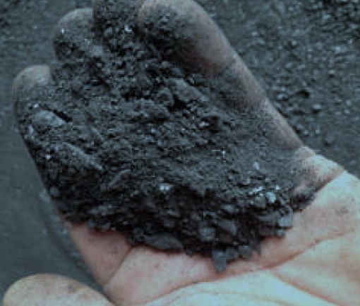 coal dust
