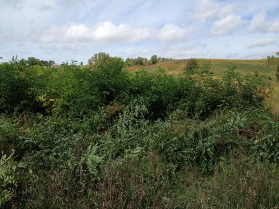 Service Day- Sioux City Prairie